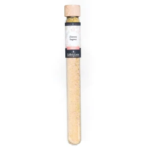 Zitrone Ingwer Salz